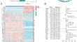 A novel molecular classification based on efferocytosis-related genes for predicting clinical outcome and treatment response in acute myeloid leukemia.