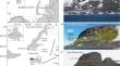 The Early Cretaceous Absolute Geomagnetic Paleointensity Based on Results for Traps of the Franz Josef Land Archipelago