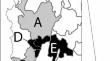 The first report of porcine parvovirus 8 (PPV8) on the American continent is associated with pigs in Colombia with porcine respiratory disease