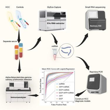 Five miRNAs identified in fucosylated extracellular vesicles as non-invasive diagnostic signatures for hepatocellular carcinoma.