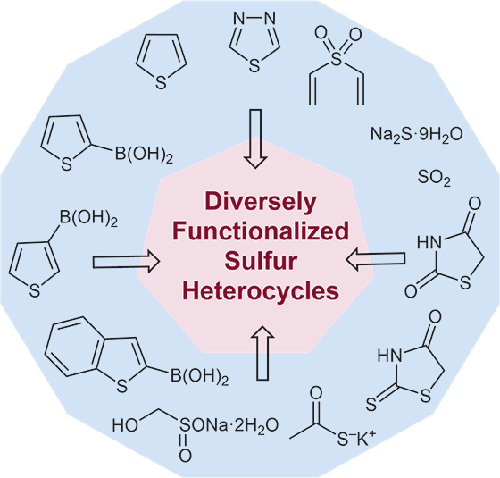 Design of Synthetic Strategies towards Sulfur Containing Scaffolds