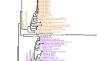 Genomic signatures of cold adaptation in the family Colwelliaceae.