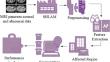 Optimized Spatial Transformer for Segmenting Pancreas Abnormalities.