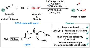 Recyclable picolinamide-derived ligand-controlled branched-selective hydroesterification of alkynes with alcohols and phenols†
