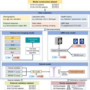 Development and validation of a multimodal deep learning framework for vascular cognitive impairment diagnosis