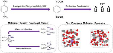 First principles investigation of manganese catalyst structure and coordination in the p-xylene oxidation process