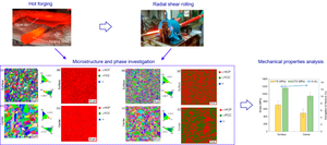 Formation of Microstructure and Mechanical Properties of Co-Cr-Mo Alloy by Hot Forging and Subsequent Radial Shear Rolling