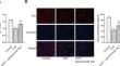 Ginsenoside Rg1 treats chronic heart failure by downregulating ERK1/2 protein phosphorylation