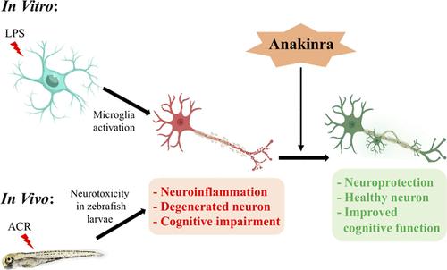 Repurposing Anakinra for Alzheimer's Disease: The <i>In Vitro</i> and <i>In Vivo</i> Effects of Anakinra on LPS- and AC-Induced Neuroinflammation.