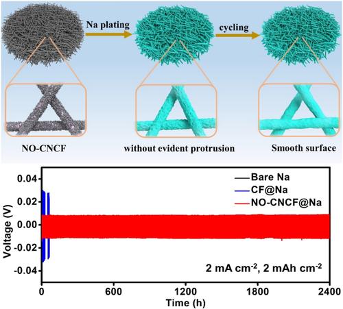 Interfacial chemistry and structural engineering modified carbon fibers for stable sodium metal anodes