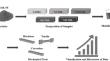 Impact of 316L Stainless Steel on Microstructural and Mechanical Properties of AA5083/316L Metal Matrix Composites