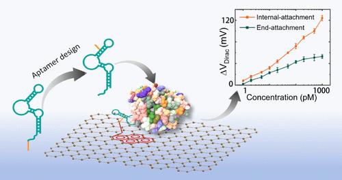 An Internally Attached Aptameric Graphene Nanosensor for Sensitive Vasopressin Measurement in Critical Patient Monitoring