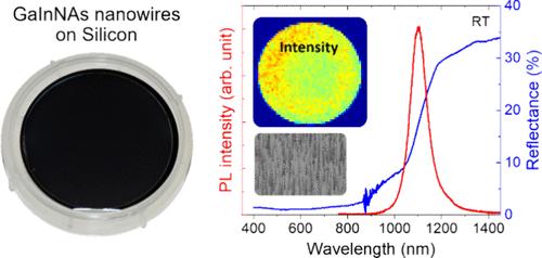 Homogeneous Large-Scale Synthesis of GaAs/GaInNAs/GaAs Nanowires on a Si Wafer for Devices Operating in the Near-Infrared Region