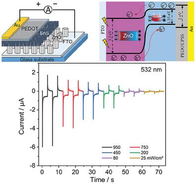 Improved Self-Powered Photoresponse of ZnO Nanorods/SnS Nanosheets/PEDOT:PSS Heterostructure by Pyro-Phototronic Effect