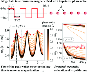 Stretched-exponential melting of a dynamically frozen state under imprinted phase noise in the ising chain in a transverse field