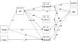 Additional evidence for decent work scale: invariance and relations with sociodemographic, adaptability, work well-being, and burnout