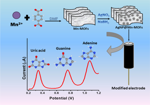 Simultaneous Measurement of Uric Acid, Guanine, and Adenine Using AgNP@Mn-MOFs Composite-Based Electrochemical Sensor at Trace Level: Application to Blood, Urine, and DNA Sample Matrices