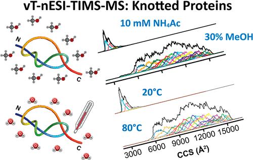 Conformational and Structural Characterization of Knotted Proteins.