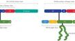 Damoctocog Alfa Pegol, a PEGylated B-domain Deleted Recombinant Extended Half-life Factor VIII for the Treatment of Hemophilia A: A Product Review.