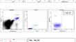 Prognostic Significance of Regulatory T-Cells and PD-1 + CD8 T-Cells in Chronic Myeloid Leukemia Patients Treated with Generic Imatinib