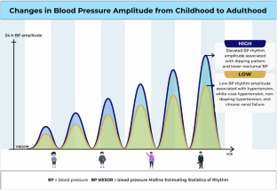 Navigating the waves: understanding blood pressure amplitude and rhythm changes from childhood to adulthood