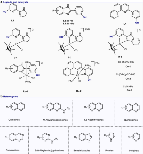 Synthesis of N-heterocycles through alcohol dehydrogenative coupling.