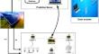 Intelligent power management system for optimizing load strategies in renewable generation