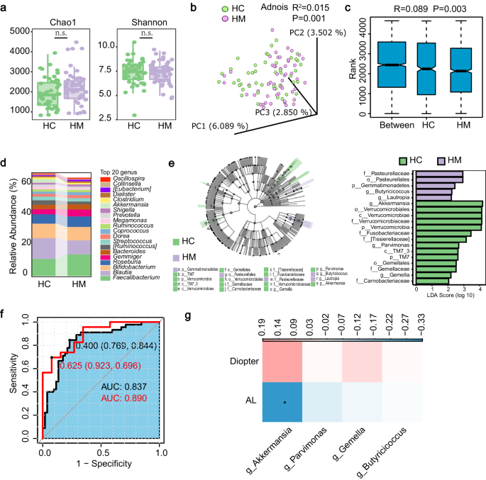 Gut microbiota-derived indole-3-acetic acid suppresses high myopia progression by promoting type I collagen synthesis.