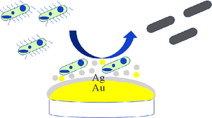 Film Ag/Au Heterostructures to Functionalize Implant Materials: Composition, Structure, Antibacterial Activity