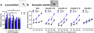 Therapeutic efficacy of the BKCa channel opener chlorzoxazone in a mouse model of Fragile X syndrome