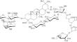 Sorption of Triterpene Glycoside on Different Brands of Active Carbon