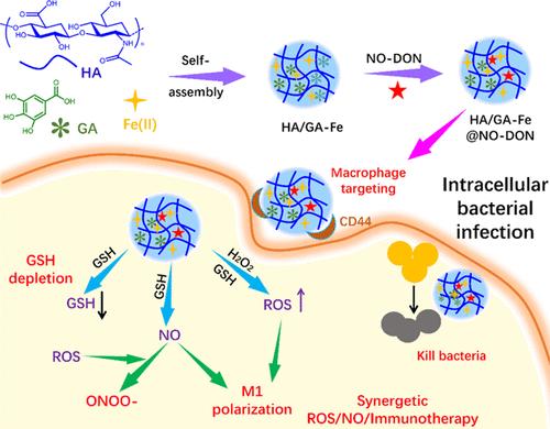 Macrophage-Targeted GSH-Depleting Nanocomplexes for Synergistic Chemodynamic Therapy/Gas Therapy/Immunotherapy of Intracellular Bacterial Infection.