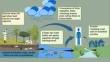 Occurrence, Toxicodynamics, and Mechanistic Insights for Atrazine Degradation in the Environment