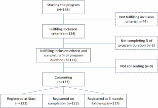 Effects of wheelchair skills training during peer-led Active Rehabilitation Camps for people with spinal cord injury in Poland: a cohort study