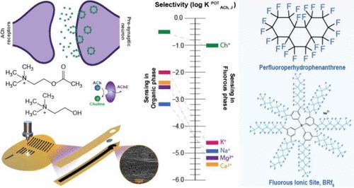 Flexible Acetylcholine Neural Probe with a Hydrophobic Laser-Induced Graphene Electrode and a Fluorous-Phase Sensing Membrane