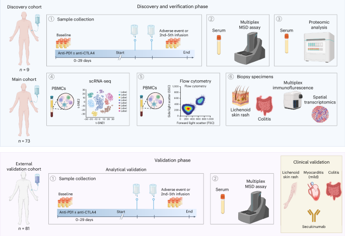 A targetable type III immune response with increase of IL-17A expressing CD4<sup>+</sup> T cells is associated with immunotherapy-induced toxicity in melanoma.