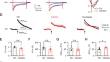 SARS-CoV-2 Inhibits Exo-Endocytosis and Enhances Short-Term Depression at a Central Synapse.