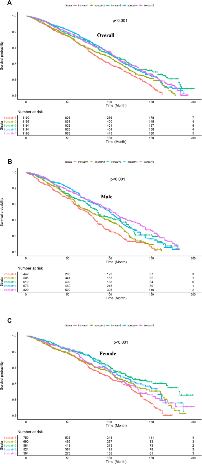 Dietary iron intake predicts all-cause and cardiovascular mortality in patients with diabetes.