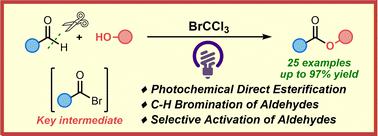 A direct oxidative esterification of aldehydes with alcohols mediated by photochemical C-H bromination.