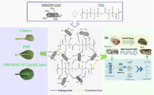 Enhanced PBS nanocomposites with ZnO-Coated MWCNT for extending shelf life in sustainable food packaging applications