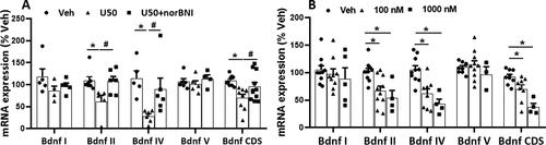 Kappa Opioid Receptor Activation Induces Epigenetic Silencing of Brain-Derived Neurotropic Factor <i>via</i> HDAC5 in Depression.