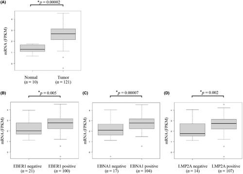 Phosphoribosyl pyrophosphate amidotransferase: Novel biomarker and therapeutic target for nasopharyngeal carcinoma