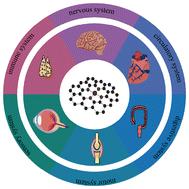 Antioxidant activities of metal single-atom nanozymes in biomedicine