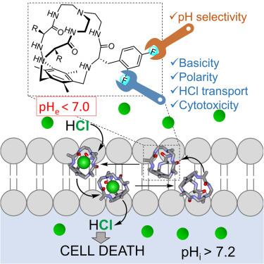 Tuning pH-dependent cytotoxicity in cancer cells by peripheral fluorine substitution on pseudopeptidic cages