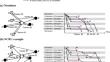 Environmental challenge of vehicle dispatching in marine container drayage