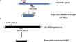 Molecular detection of some zoonotic tick-borne pathogens in ticks collected from camels (Camelus dromedarius) as hosts and wild rodents as potential reservoirs.