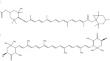 Computational Assessment of Carotenoids as Keap1-Nrf2 Protein–Protein Interaction Inhibitors: Implications for Antioxidant Strategies