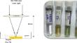 Agro-environmental influence and interaction of nanoparticles (CuO, Fe3O4, Fe3O4@CuO) on microorganisms causing illnesses of tomato root and stems