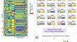 Brain Evoked Response Qualification Using Multi-Set Consensus Clustering: Toward Single-Trial EEG Analysis.