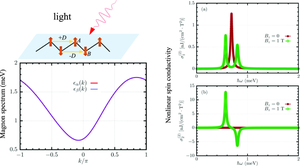 Spin photo-currents in antiferromagnets with Dzyaloshinskii–Moriya interactions